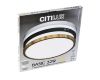 Потолочный светильник Citilux Бейсик CL738322V