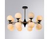 Люстра на штанге Arte Lamp Mimosa A3649PL-16PB