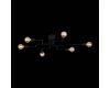 Потолочная люстра ST Luce Ano SL419.442.06