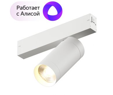 Купить Трековый светильник Denkirs DK8020-WH Трековый светильник Denkirs DK8020-WH