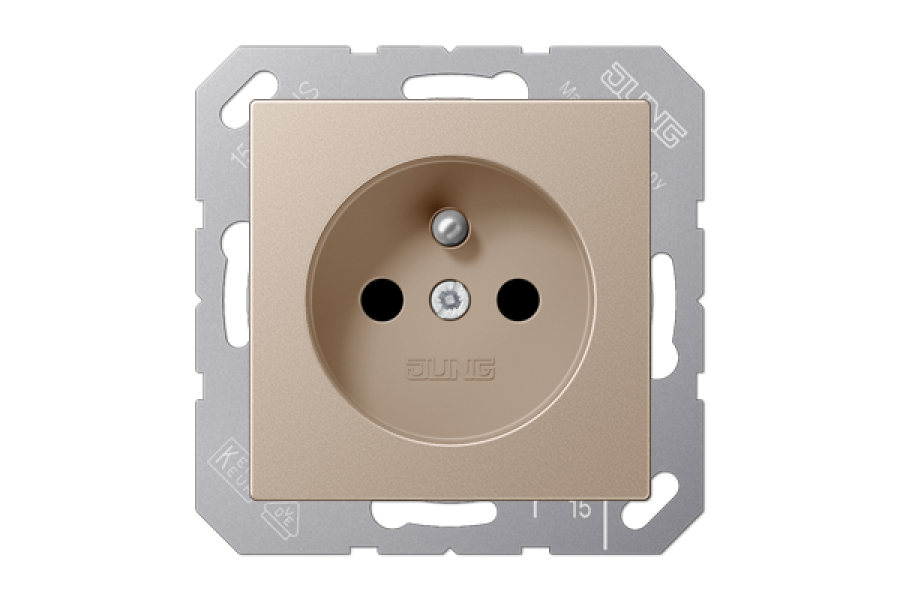 Розетка Jung A1520FKICH