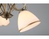 Потолочная люстра Omnilux Alimini OML-25307-05
