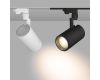 Трековый светильник Arlight LGD-ZEUS-4TR-R100-30W Day 024609