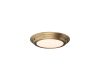 Потолочный светильник Elstead Lighting Welland WELLAND-F-AB