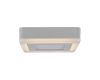 Потолочный светодиодный светильник Arte Lamp Altair A7709PL-2WH