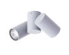 Накладной светильник ARTE Lamp A1511PL-2GY