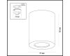 Потолочный светильник Odeon Light Aquana 3572/1C