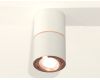 Потолочный светильник Ambrella Light Techno Spot XS7401220 (C7401, A2073, C7401, N7005)