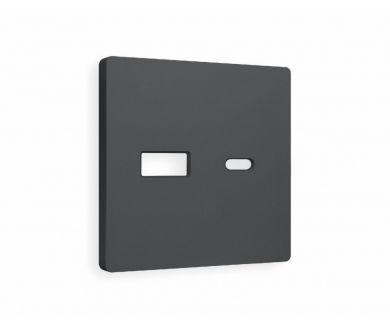 Лицевая панель для розетки 2USB тип A+C Ambrella Volt Alfa AP9110