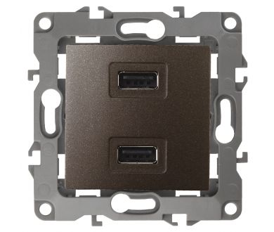 Розетка USB Эра 12-4110-13 Б0027498