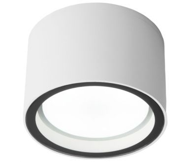 Уличный потолочный светильник Elektrostandard Light 4690389180828