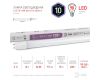 Лампа светодиодная Эра G13 10W 6500K LED T8-10W-865-G13-600mm Б0033000