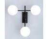 Настенно-потолочный светильник Citilux Dorsy CL223132
