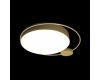 Потолочный светильник Loft IT Mike 10063