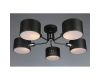 Потолочная люстра Omnilux Lisera OML-54507-05