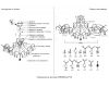 Потолочная люстра Crystal Lux ESMIRALDA PL9 GOLD