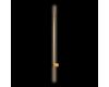 Настенный Светильник Loft IT Rays 10054GD