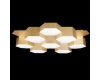 Потолочный светодиодный светильник Lightstar Favo 750161