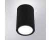 Уличный потолочный светильник Arte Lamp Torcular A1307PF-1BK