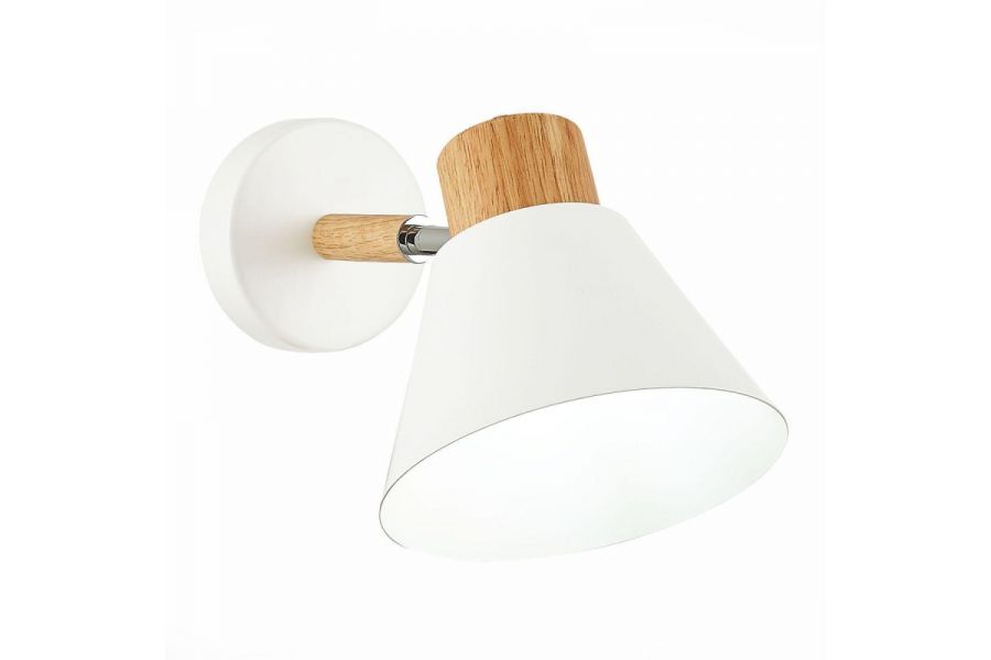Спот Evoluce Buve SLE103701-01