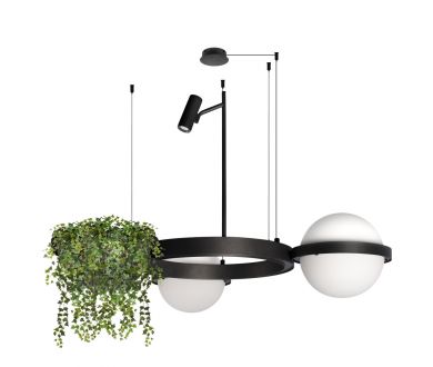 Подвесная люстра Loft IT Jardin 10121/2