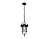 Подвесной светильник LOFT IT Warehouse Loft1141
