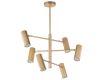 Люстра на штанге Lightstar Roma 718263