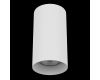 Потолочный светильник Lightstar Rullo 216486