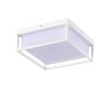 Уличный потолочный светильник ST Luce Cubo SL9517.502.01