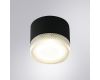 Уличный потолочный светильник Arte Lamp Piautos A1926PF-1BK