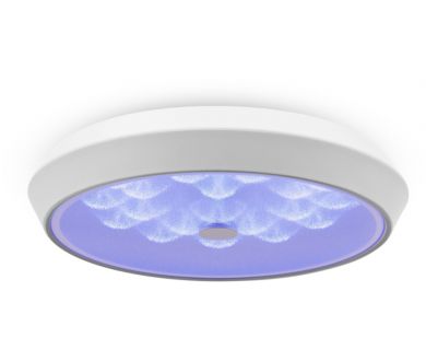 Потолочный светильник Freya Cells FR10012CL-L24W