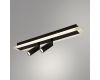 Спот Arte Lamp Tommy A2607PL-22BK