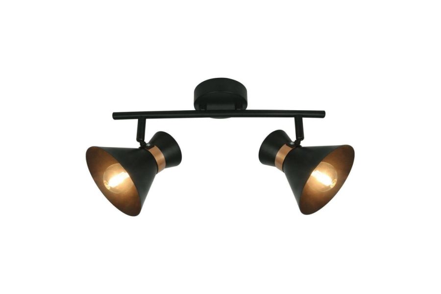 Спот Arte Lamp Baltimore A1406AP-2BK
