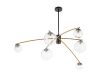 Люстра на штанге Citilux Fisher CL218163