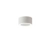 Потолочный светильник Crystal Lux CLT 074C WH
