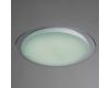 Потолочный светодиодный светильник Arte Lamp Lunio A6060PL-1WH