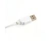 Светодиодная гирлянда Feron Роса USB дневной белый CL576 48187