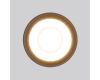 Уличный потолочный светильник Elektrostandard Light LED 4690389176975
