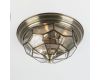 Потолочный светильник Citilux Витра-1 CL442530