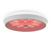 Потолочный светильник Freya Cells FR10012CL-L24W