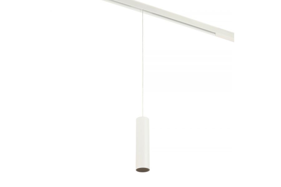 Трековый магнитный светильник Myfar Ray MT0221-20W3K-S-W