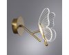 Настенный светильник Arte Lamp Darcy A2187AP-1GO