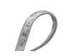 Светодиодная лента DesignLed DSG560-24-W-65 002377