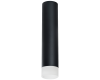 Накладной светильник Lightstar Rullo R49731 (214497+202431)