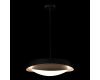 Подвесной светильник Loft IT Petale 10256P Black