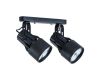 Спот Arte Lamp A6252PL-2BK