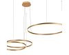 Подвесной светодиодный светильник Loft IT Ring 10017/3S