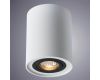 Потолочный светильник Arte Lamp A5644PL-1WH