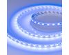 Светодиодная лента Arlight RT-B60-10mm 12V Blue (14.4 W/m, IP20, 5m) 012336(3)