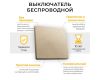 Выключатель беспроводной Feron TM181 41126
